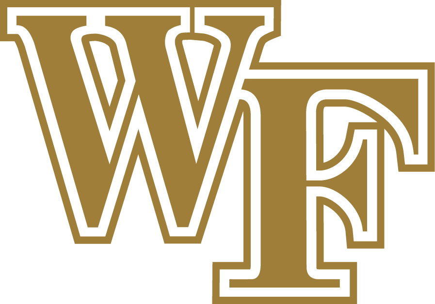 Wake Forest Demon Deacons 2007-Pres Alternate Logo diy iron on heat transfer